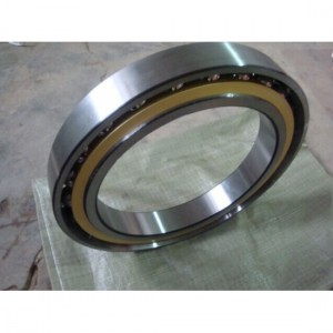 Miniature Angular Contact Ball Bearings